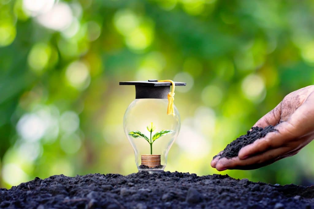 A seedling that grows on a coin in an energy-saving bulb and a graduate’s hat on an energy-saving bulb, the concept of investment for education and money.